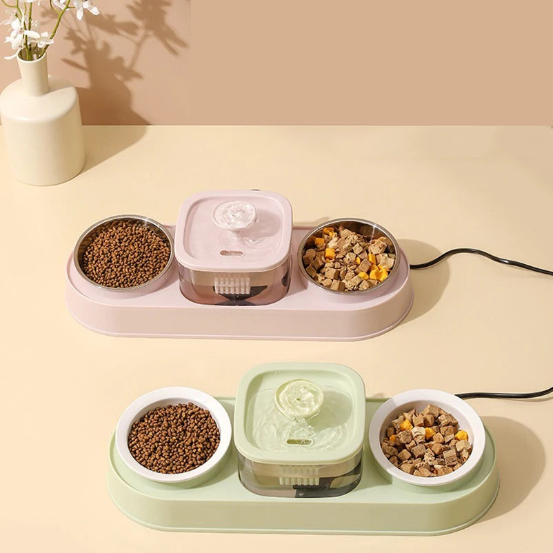 Cat Water Fountain with Double Bowl Set
