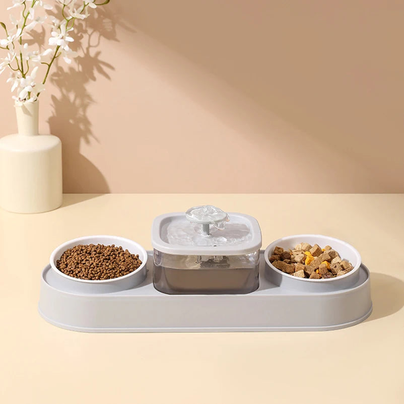 Cat Water Fountain with Double Bowl Set