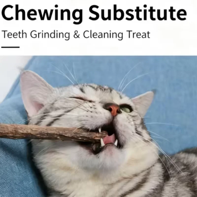 Natural Wood Cat Play Sticks · 10 Pack