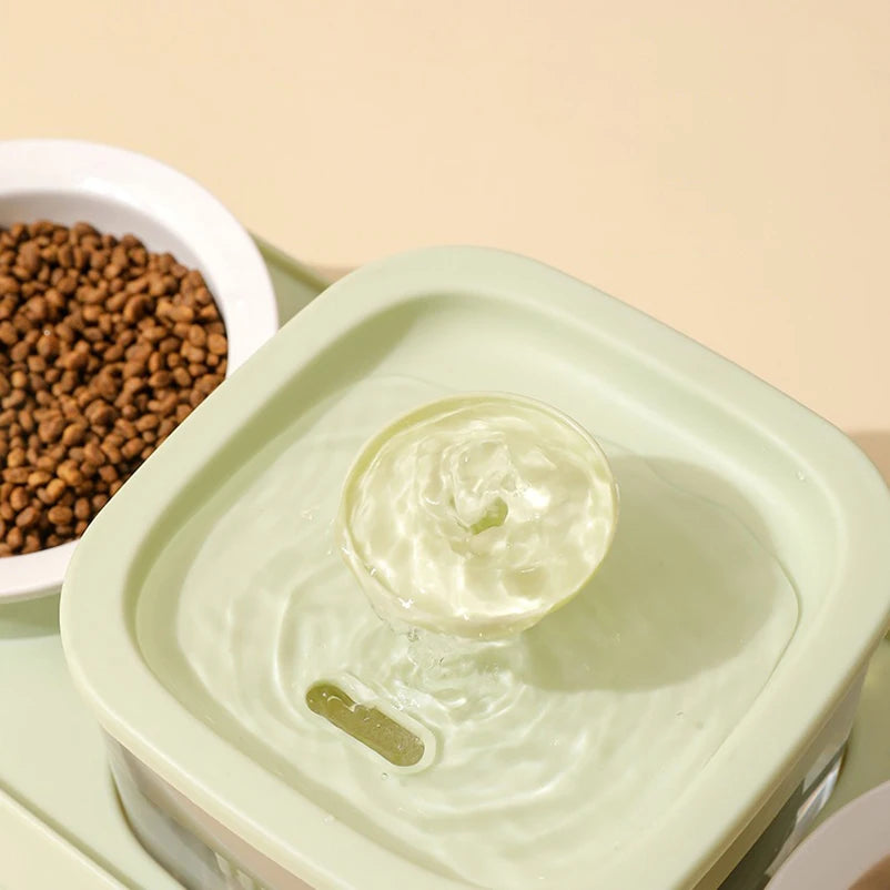 Cat Water Fountain with Double Bowl Set