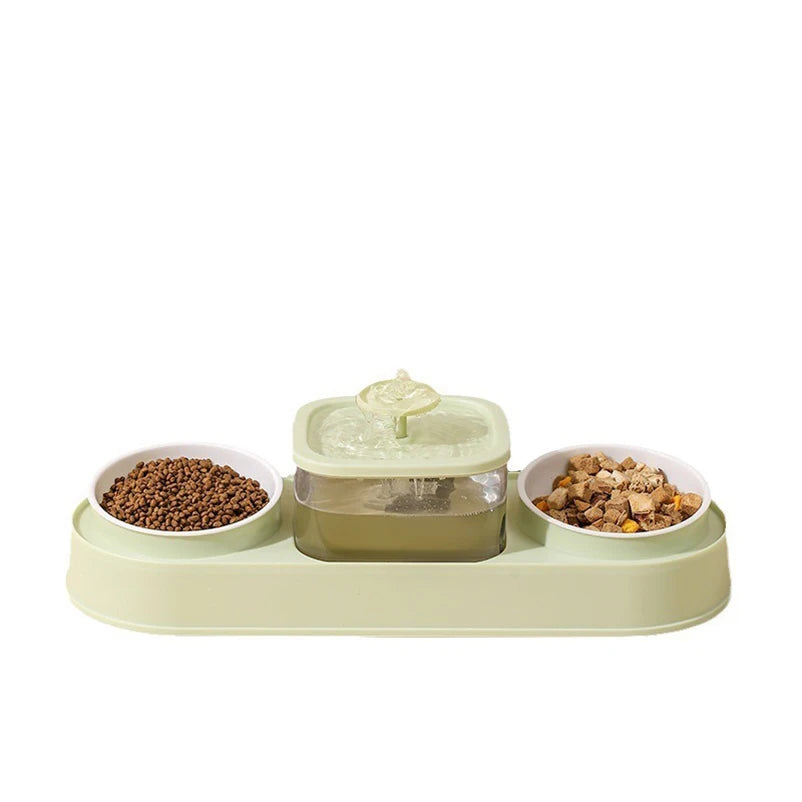 Cat Water Fountain with Double Bowl Set
