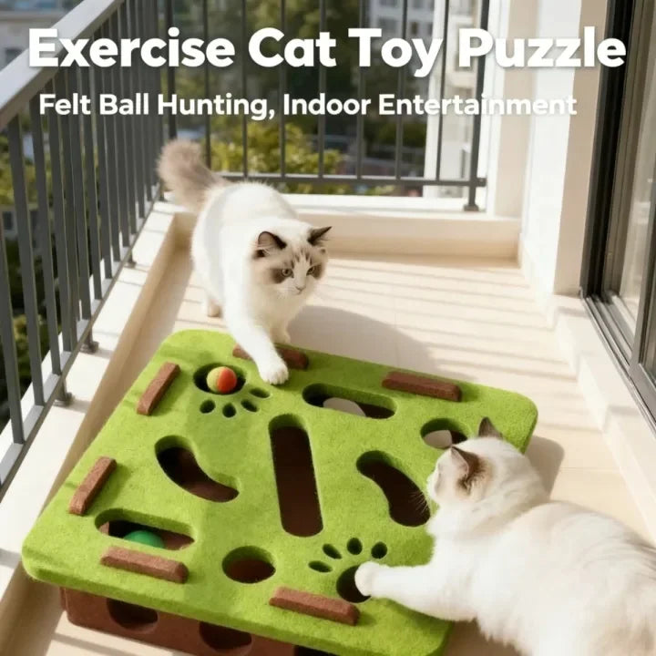 Felt Cat Treat Maze Puzzle Box