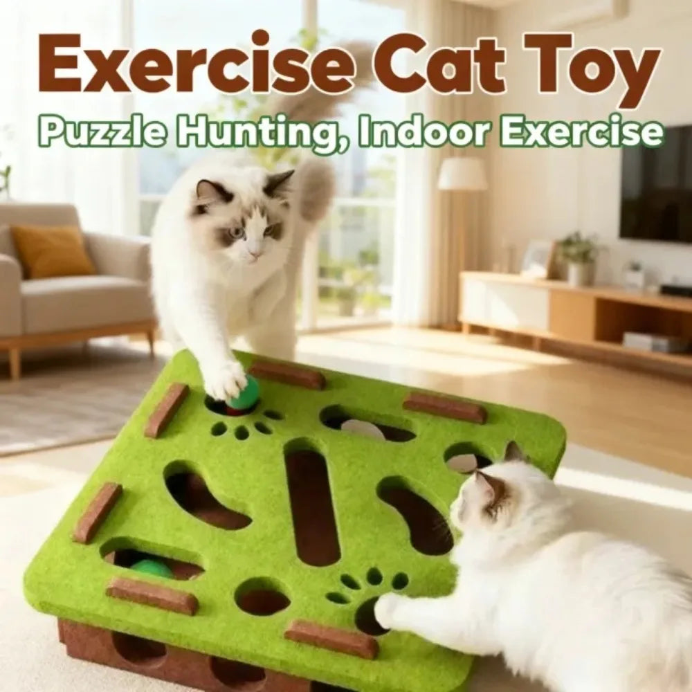 Felt Cat Treat Maze Puzzle Box