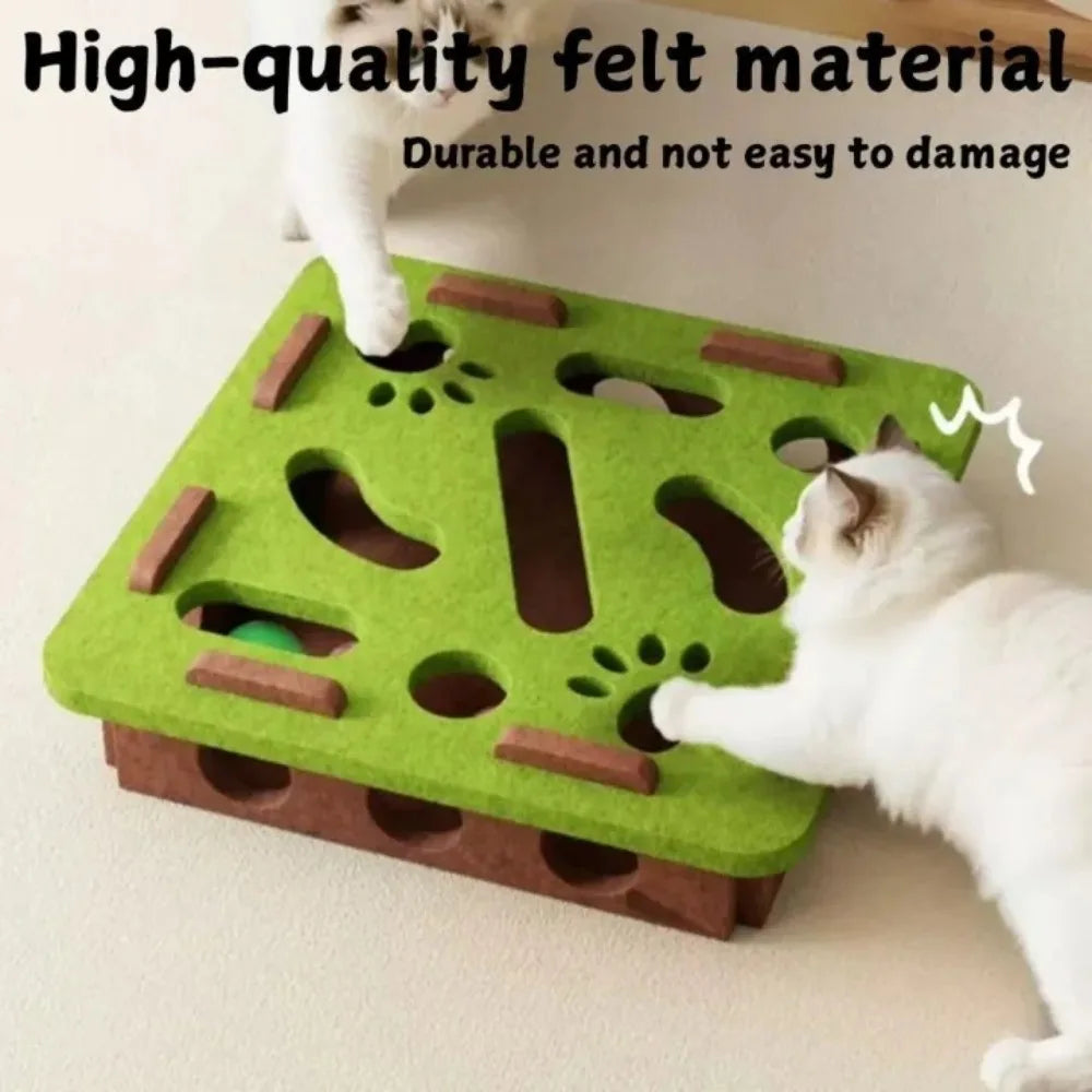 Felt Cat Treat Maze Puzzle Box