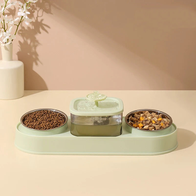 Cat Water Fountain with Double Bowl Set