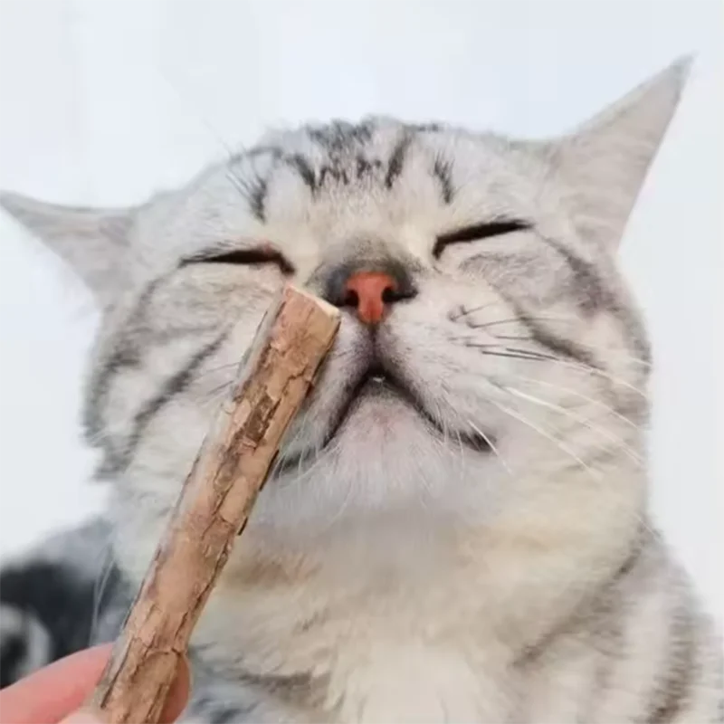 Natural Wood Cat Play Sticks · 10 Pack