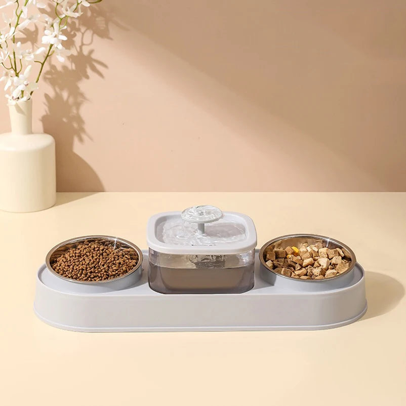 Cat Water Fountain with Double Bowl Set