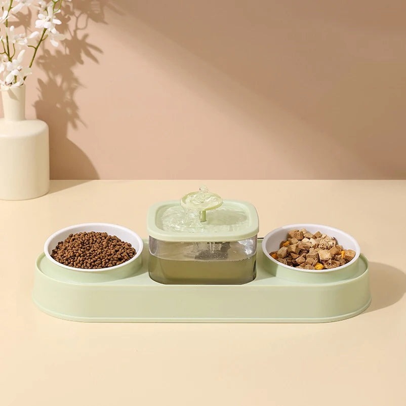Cat Water Fountain with Double Bowl Set