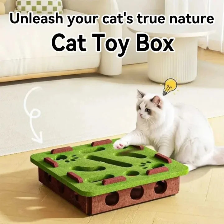 Felt Cat Treat Maze Puzzle Box