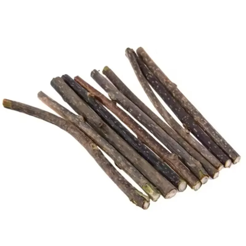 Natural Wood Cat Play Sticks · 10 Pack