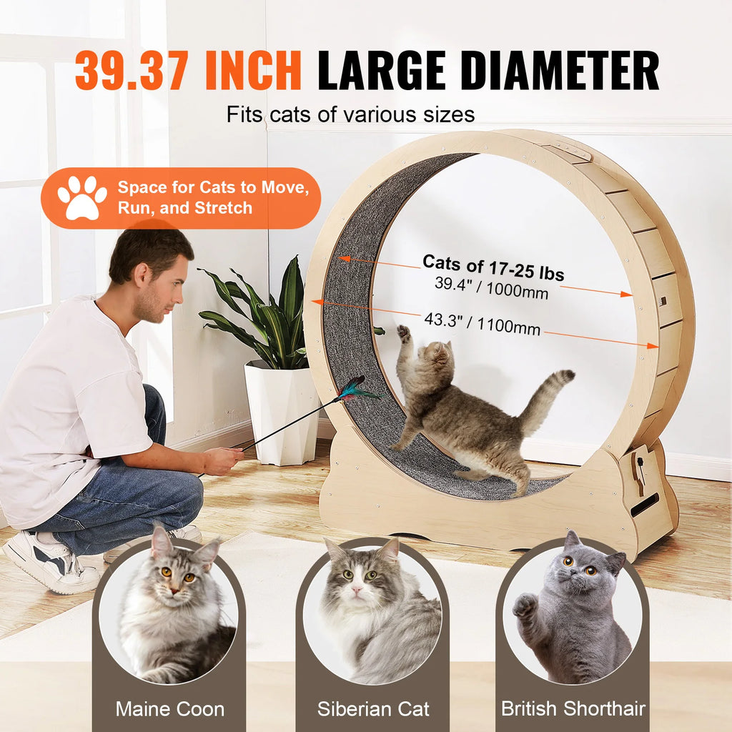 Indoor Cat Exercise Wheel