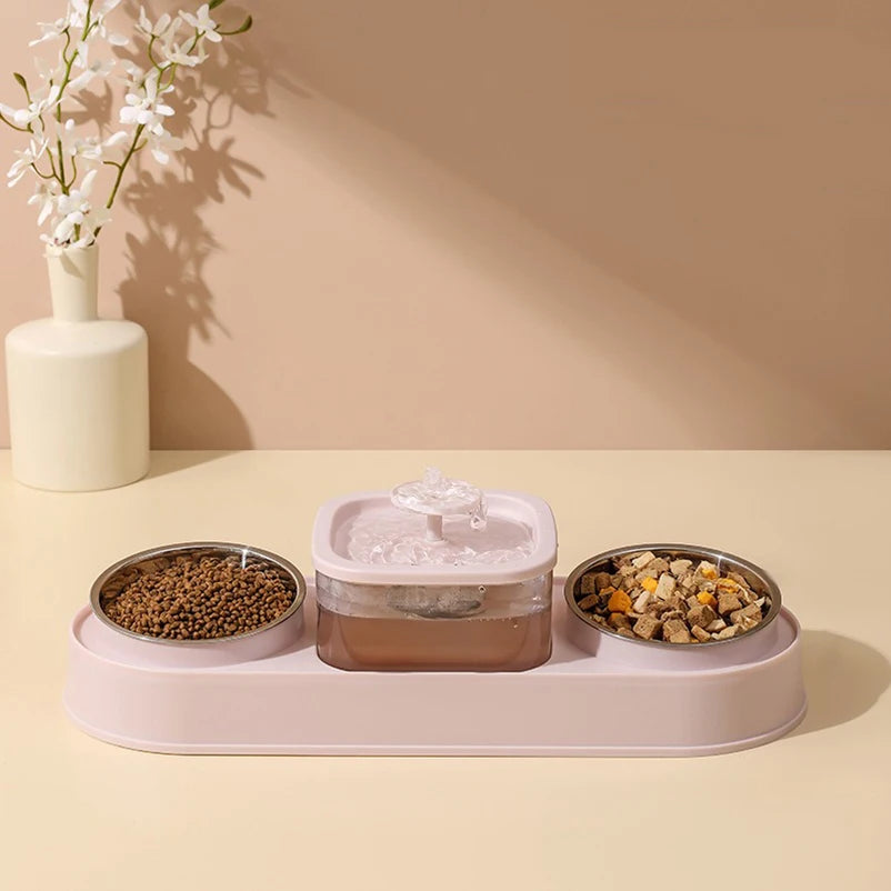 Cat Water Fountain with Double Bowl Set