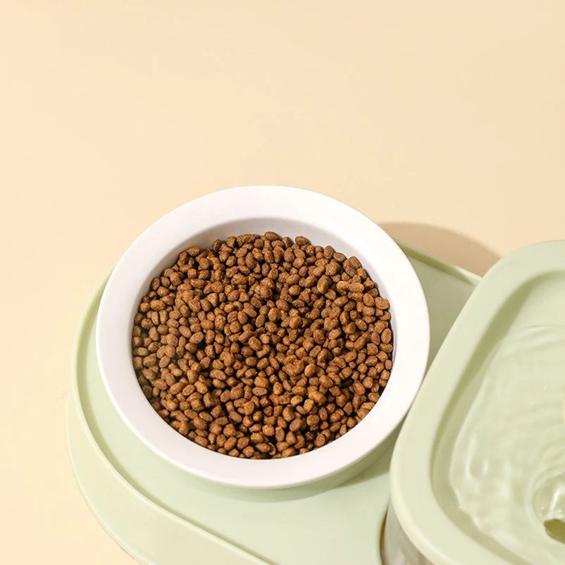 Cat Water Fountain with Double Bowl Set