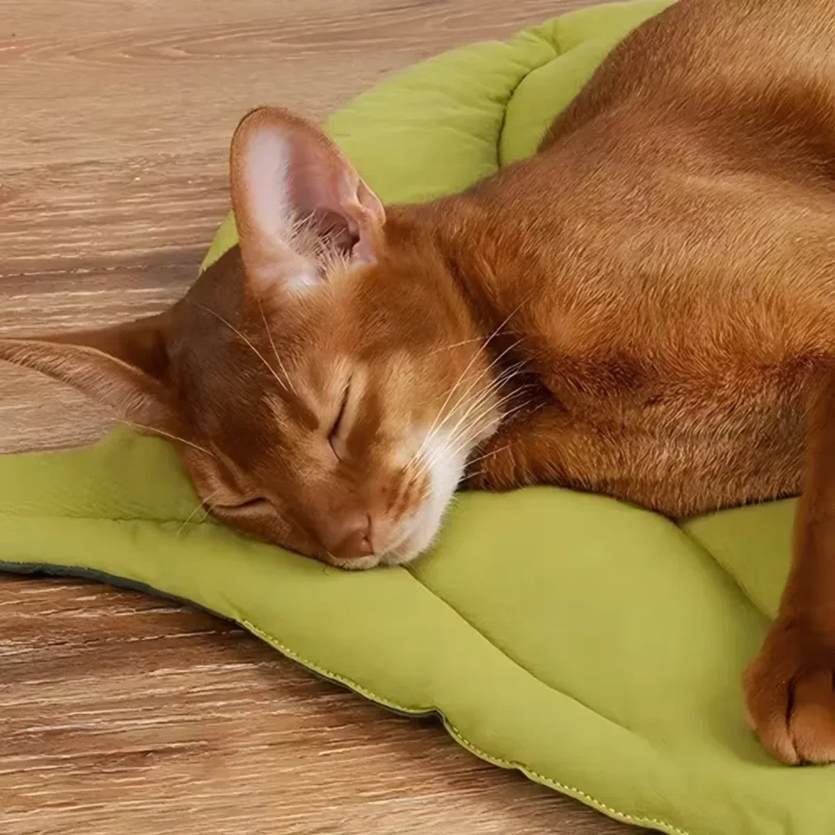 Leaf-Shaped Cat Lounge Mat