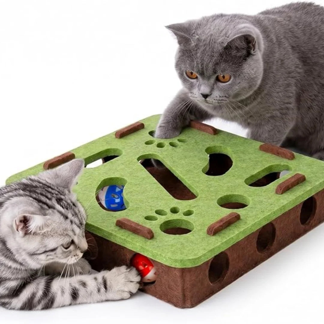 Felt Cat Treat Maze Puzzle Box