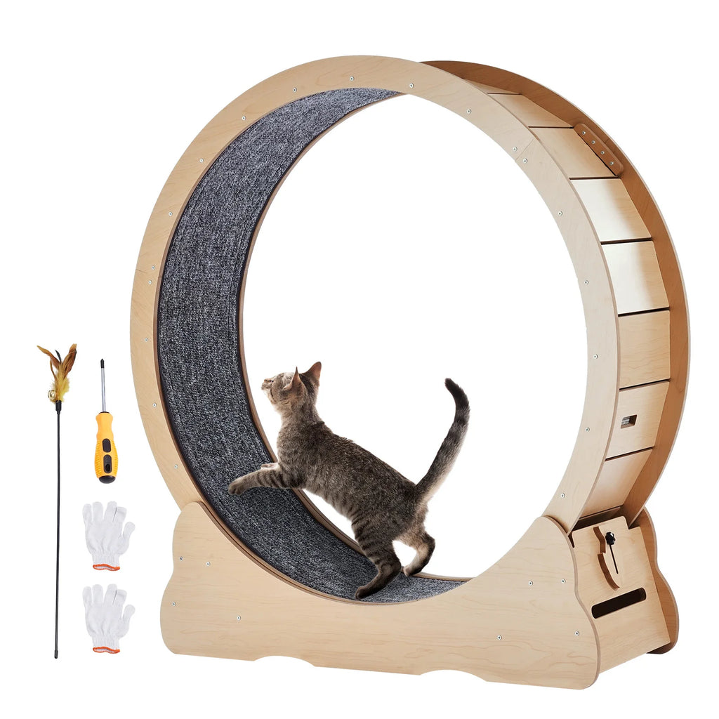 Indoor Cat Exercise Wheel
