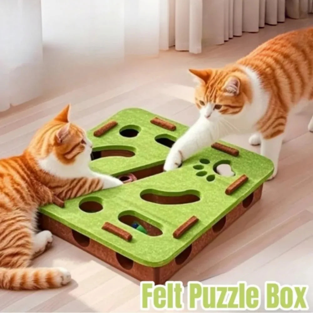 Felt Cat Treat Maze Puzzle Box