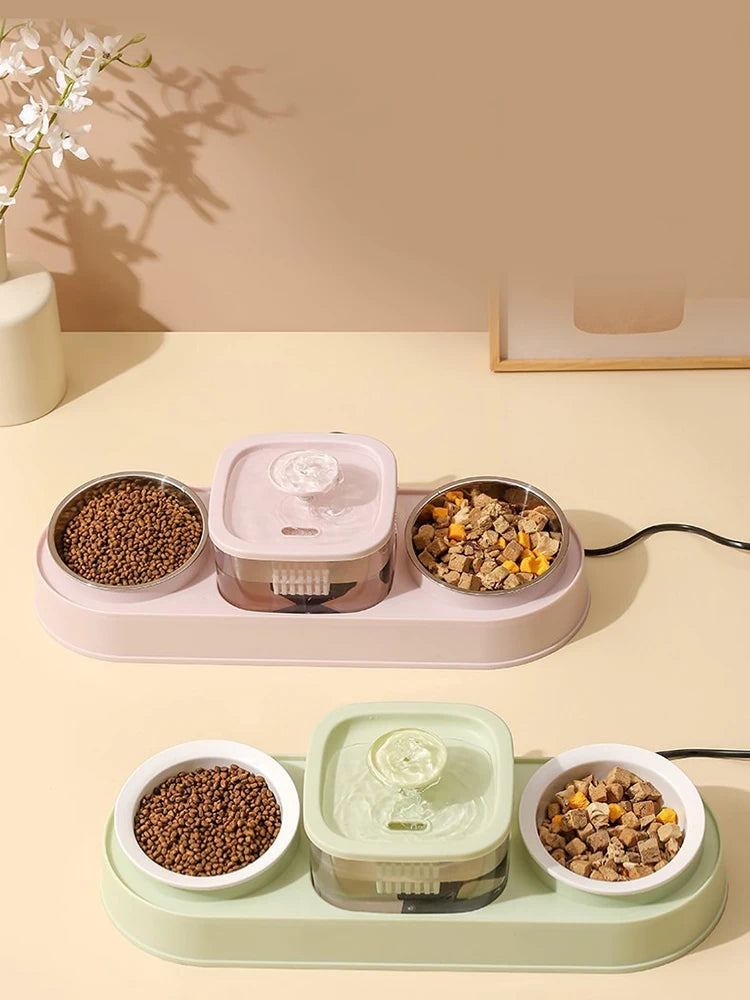 Cat Water Fountain with Double Bowl Set