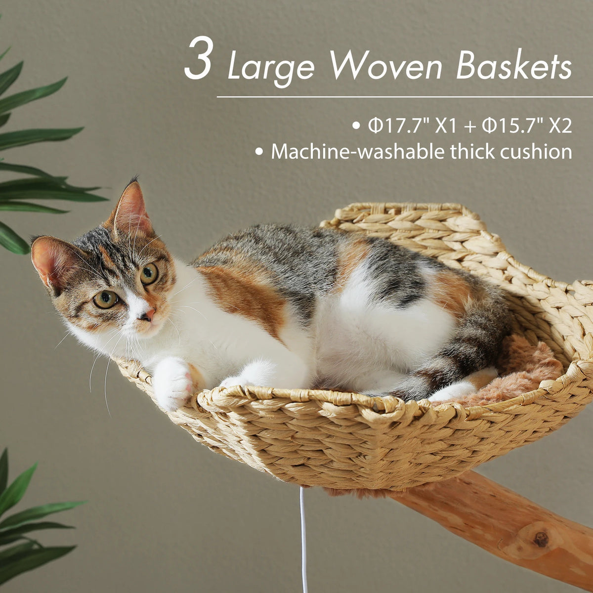 Multi-Level Cat Tree with Woven Basket Bed