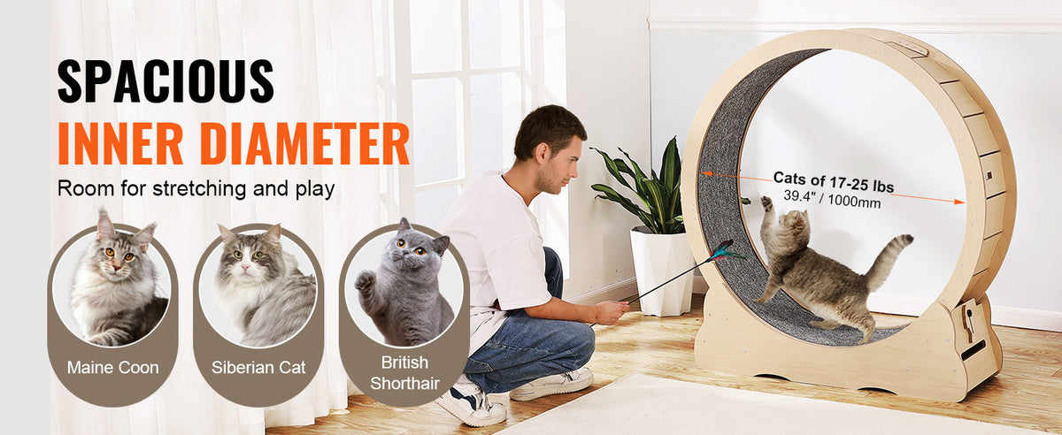 Indoor Cat Exercise Wheel