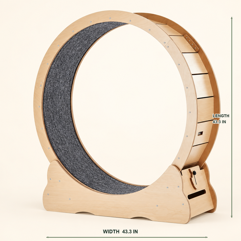 Indoor Cat Exercise Wheel — indoor-exercise-wheel-04-dimensions.png