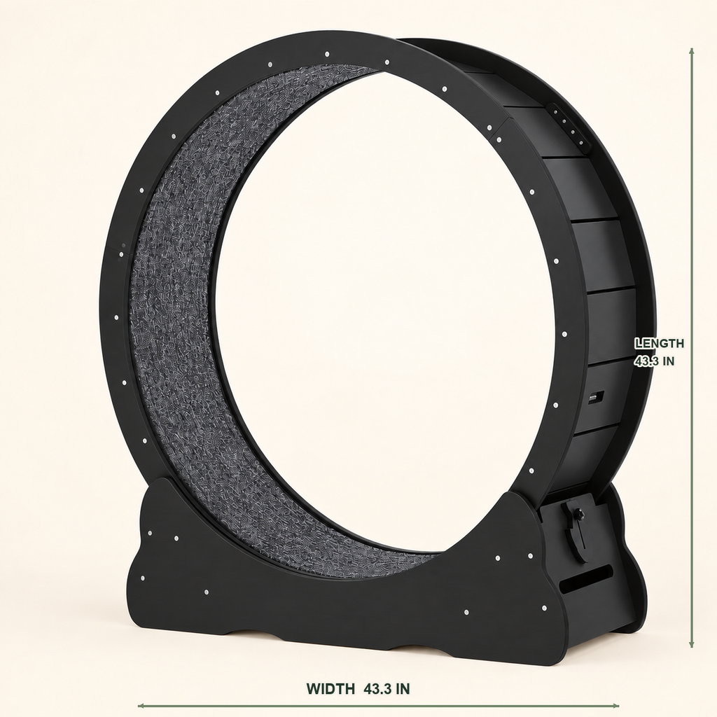 Indoor Cat Exercise Wheel — indoor-exercise-wheel-variant-black-04-dimensions.png